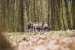 CITY TRAIL na mecie
